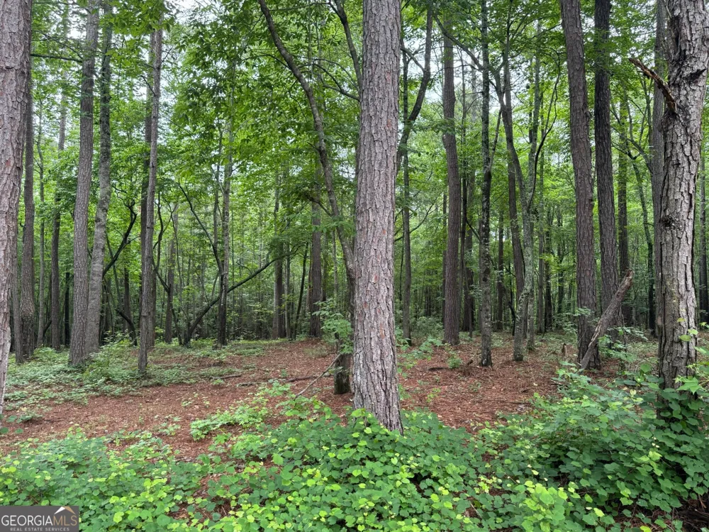 646 Lakeside RD Williamson, GA 30292
