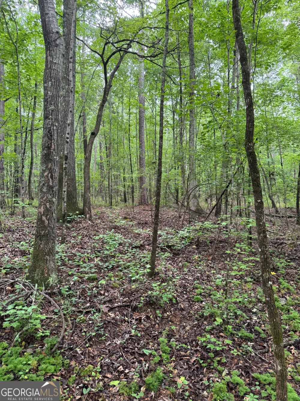 646 Lakeside RD Williamson, GA 30292