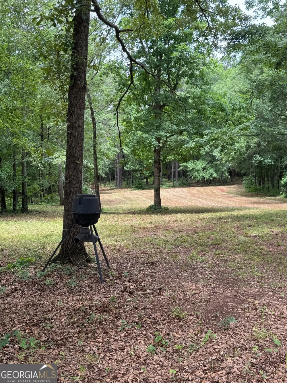 646 Lakeside RD Williamson, GA 30292