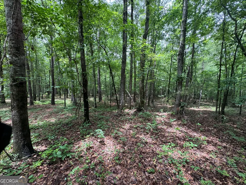 646 Lakeside RD Williamson, GA 30292