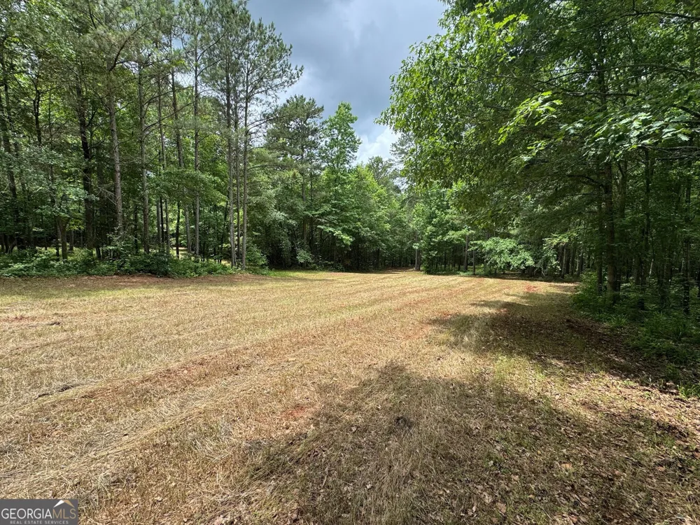 646 Lakeside RD Williamson, GA 30292
