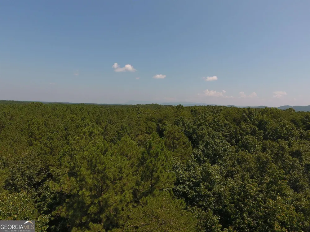 0 Pack RD NE Ranger, GA 30734