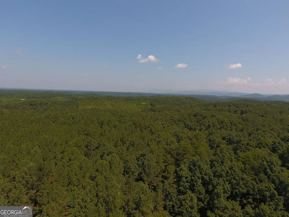 0 Pack RD NE Ranger, GA 30734