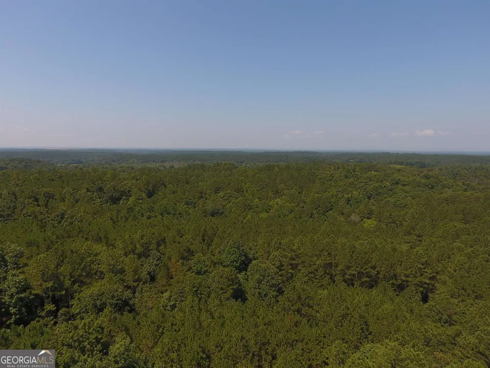 0 Pack RD NE Ranger, GA 30734