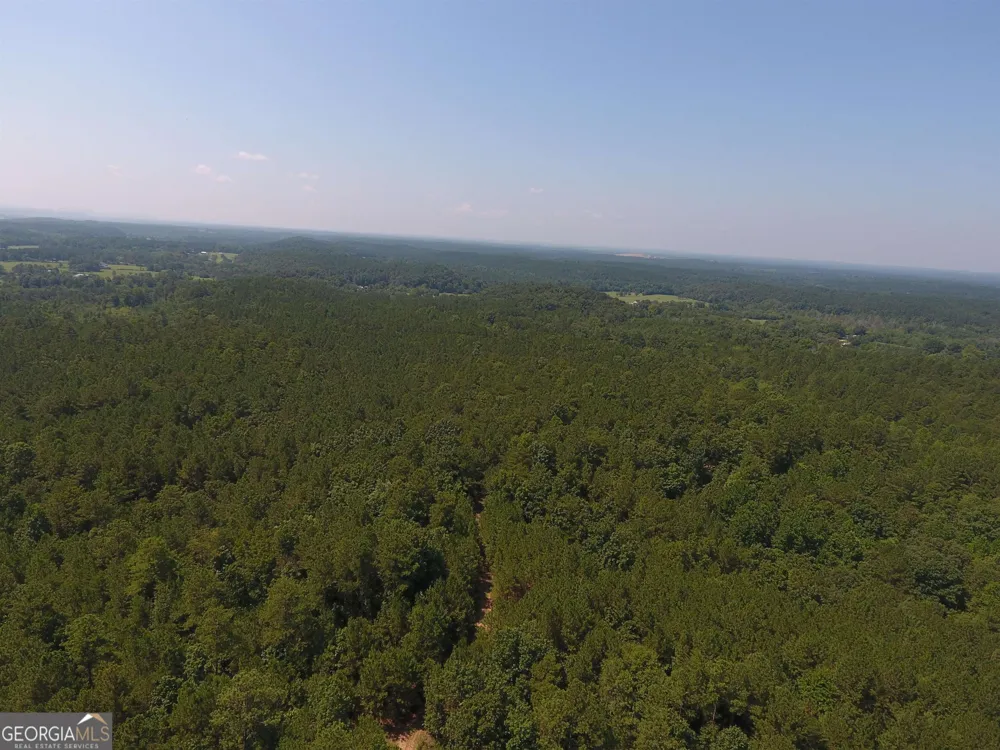 0 Pack RD NE Ranger, GA 30734