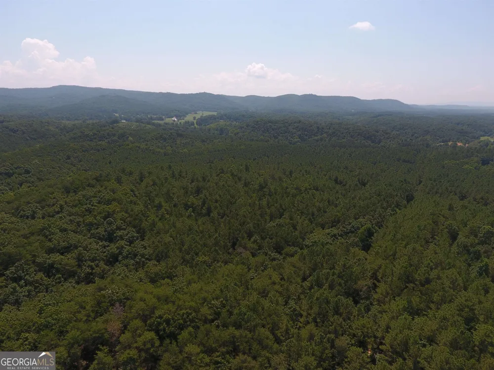 0 Pack RD NE Ranger, GA 30734