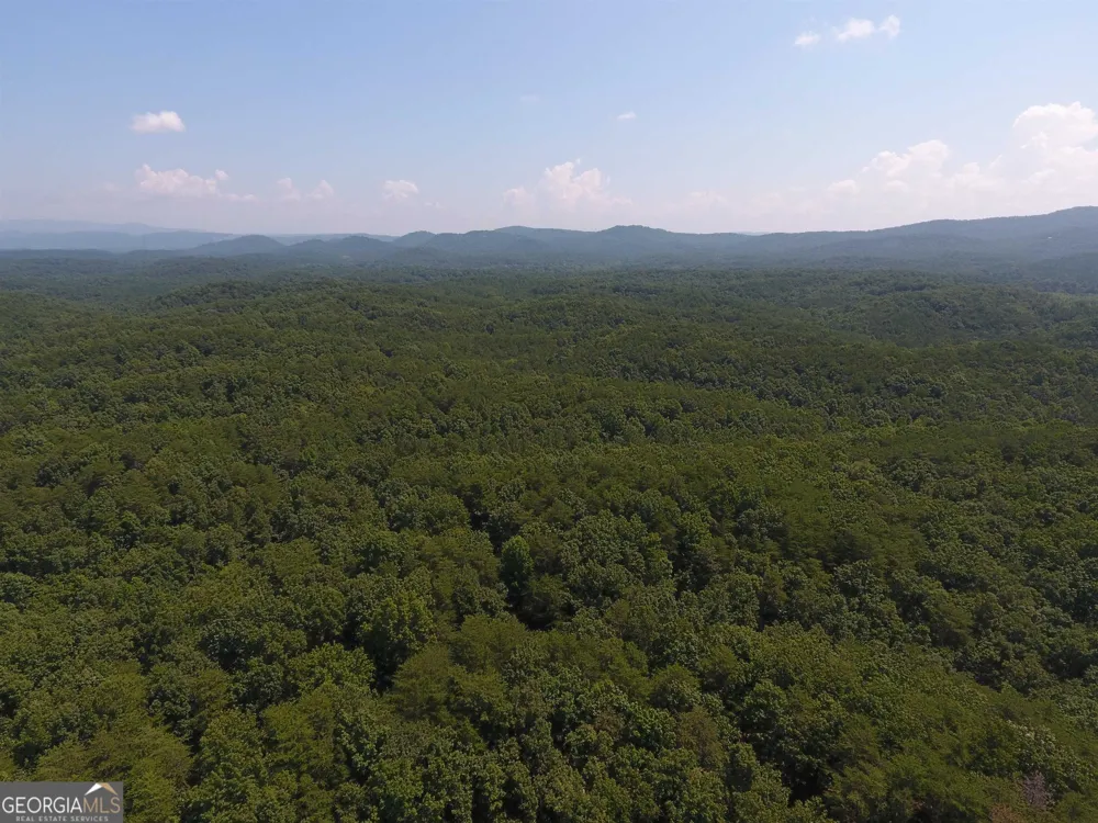0 Pack RD NE Ranger, GA 30734