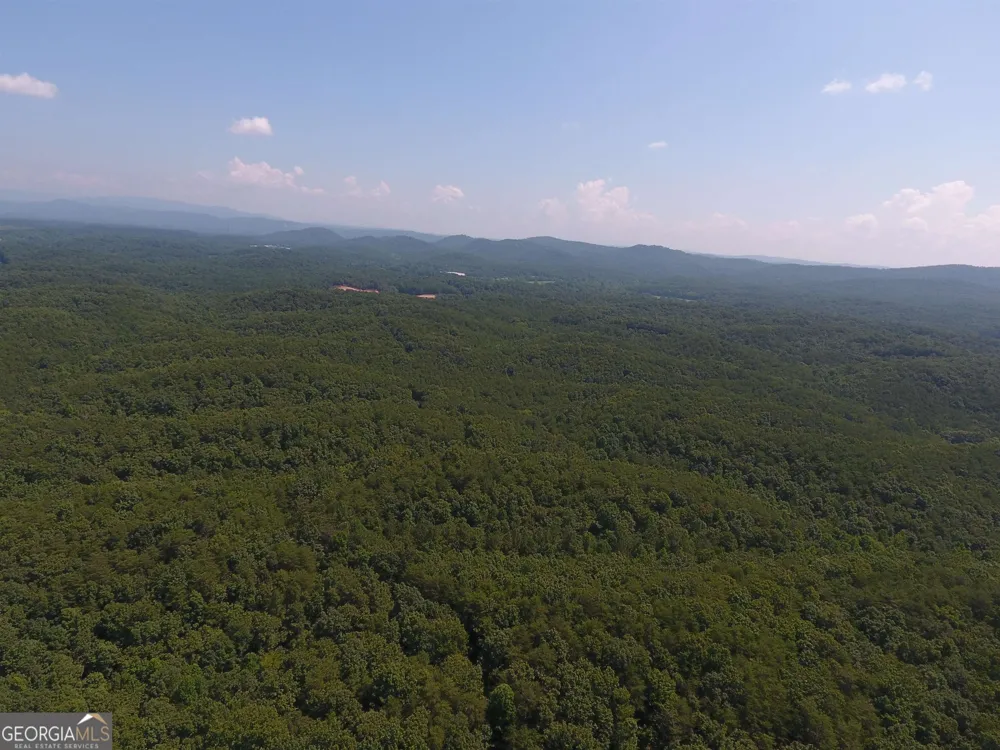 0 Pack RD NE Ranger, GA 30734