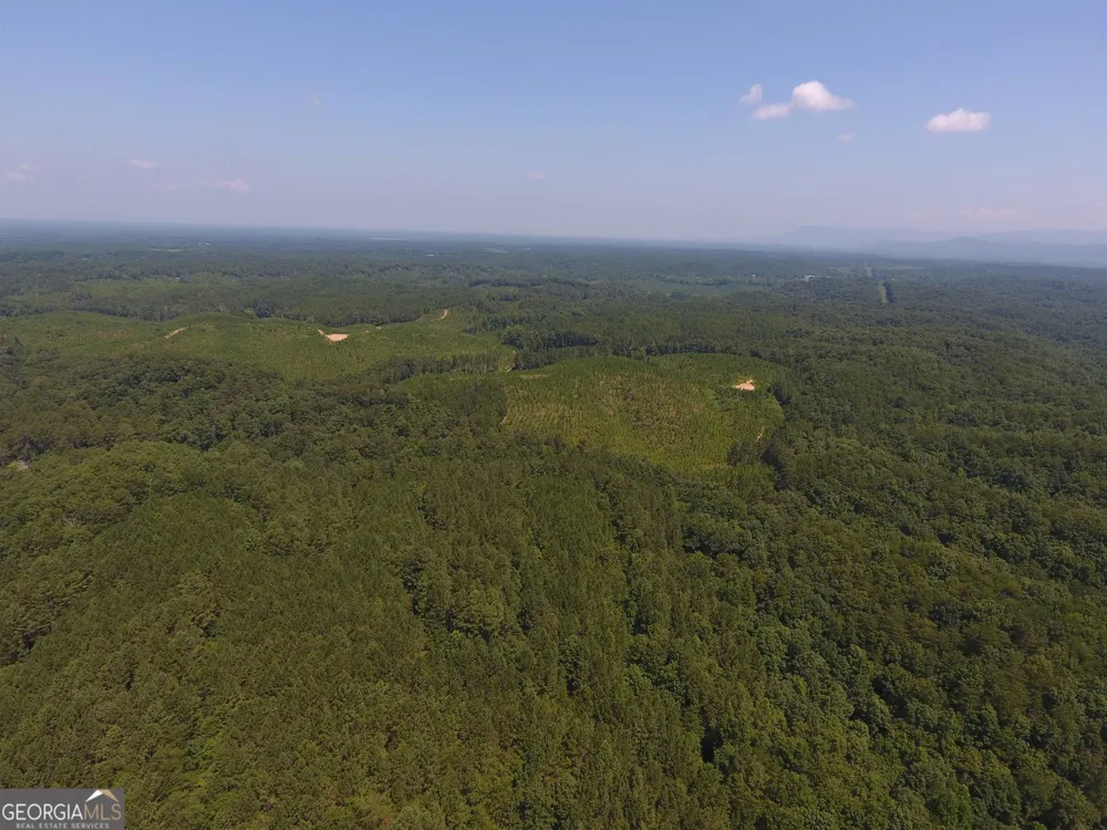 0 Pack RD NE Ranger, GA 30734