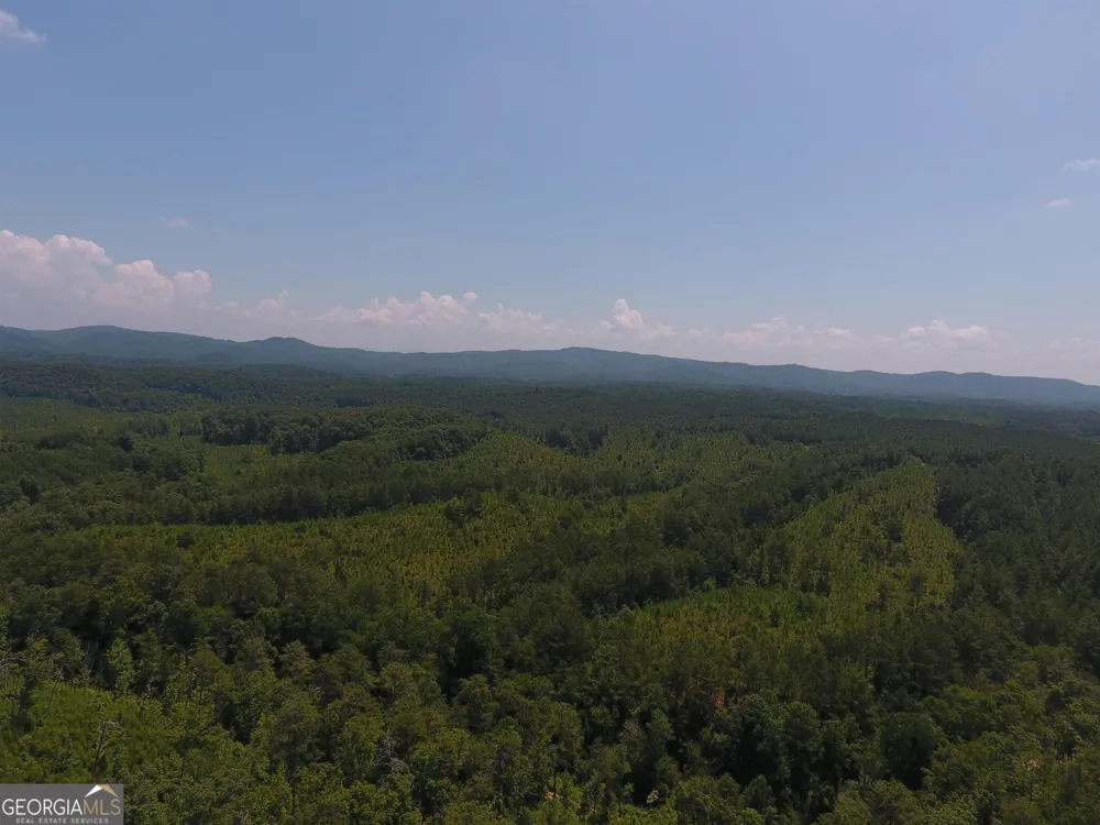 0 Pack RD NE Ranger, GA 30734
