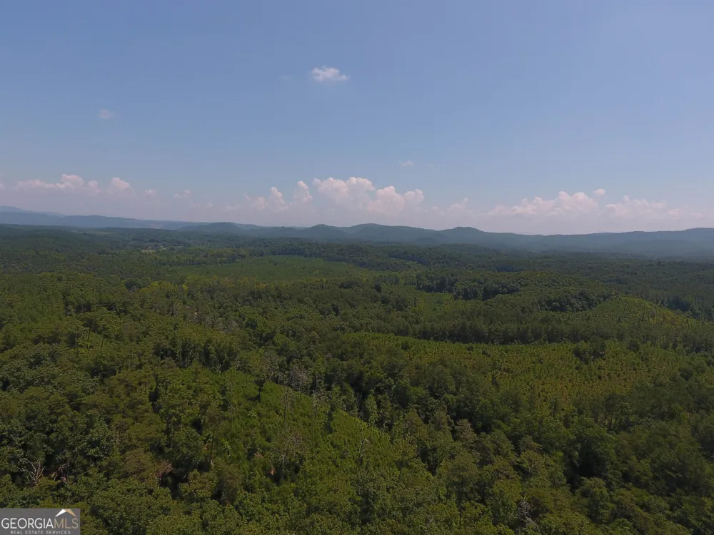 0 Pack RD NE Ranger, GA 30734