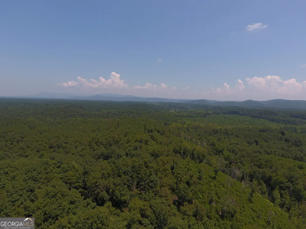 0 Pack RD NE Ranger, GA 30734