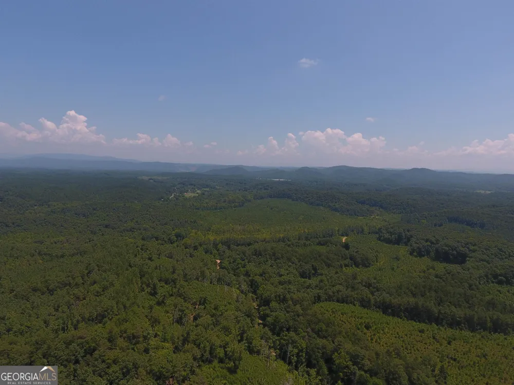 0 Pack RD NE Ranger, GA 30734