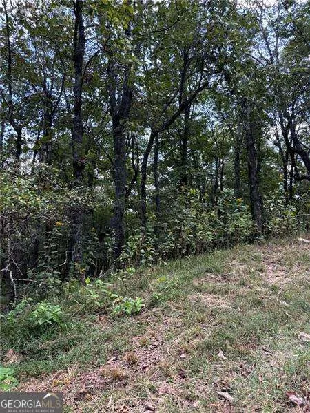 0 Little Hendricks Mountain