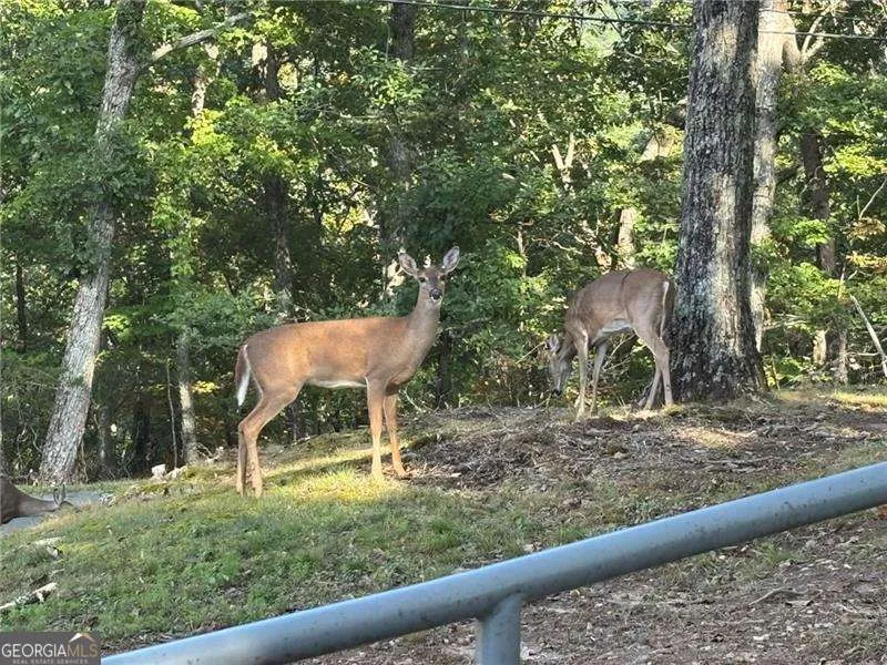 0 Little Hendricks Mountain Jasper, GA 30143