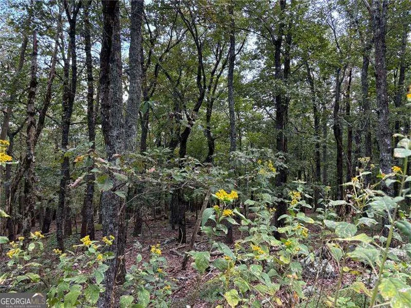 0 Little Hendricks Mountain Jasper, GA 30143