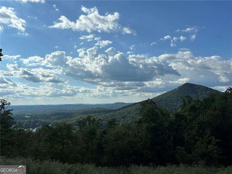 0 Little Hendricks Mountain Jasper, GA 30143