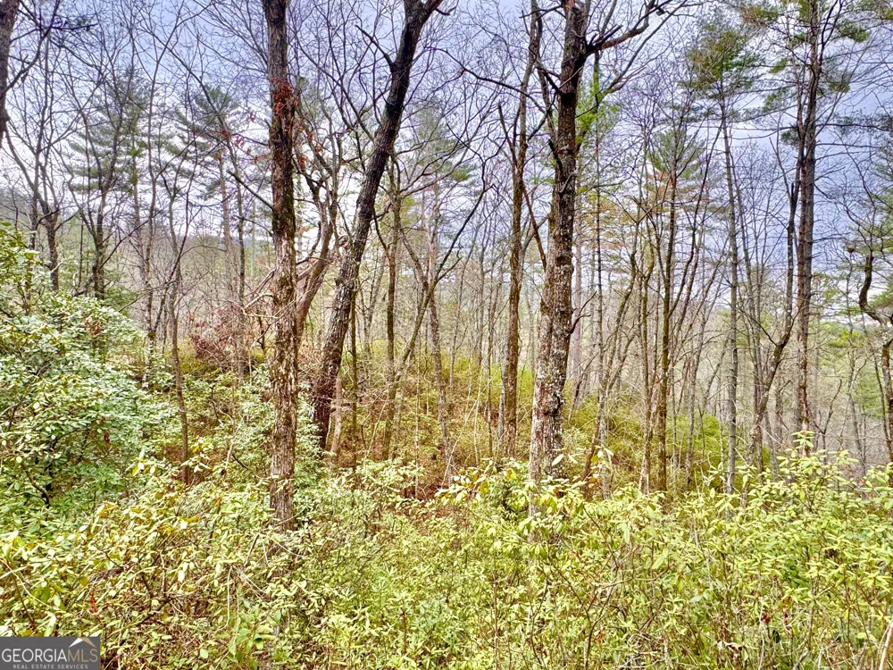 0 Long Mountain DR Lakemont, GA 30552