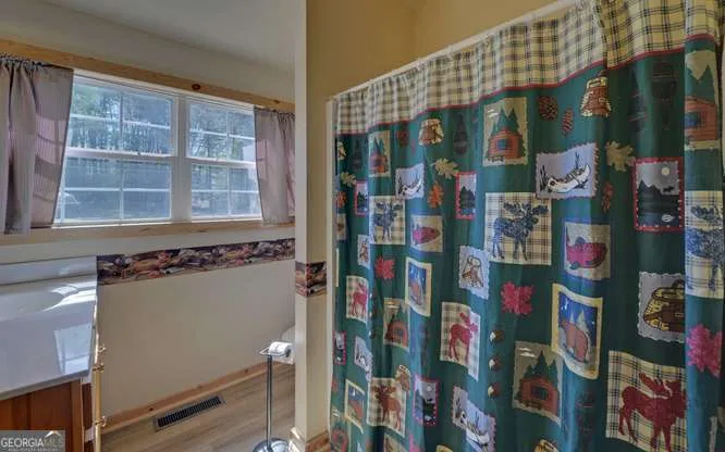 95 Windjammer DR Hiawassee, GA 30546