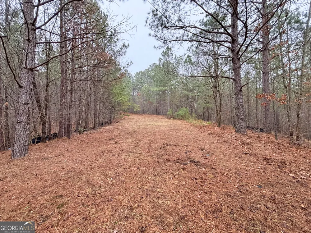 5AC LoveJoy LN Talking Rock, GA 30175