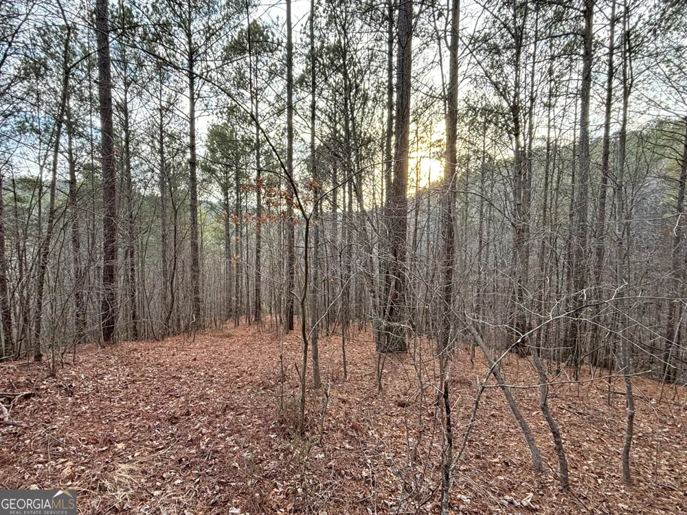 5AC LoveJoy LN Talking Rock, GA 30175