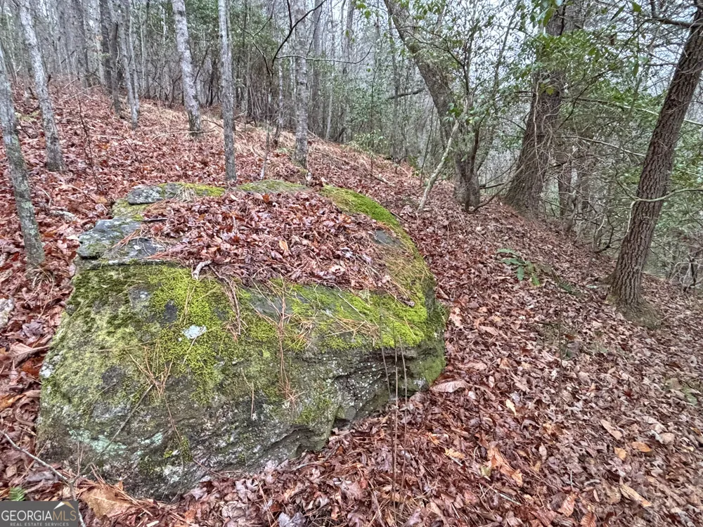 5AC LoveJoy LN Talking Rock, GA 30175