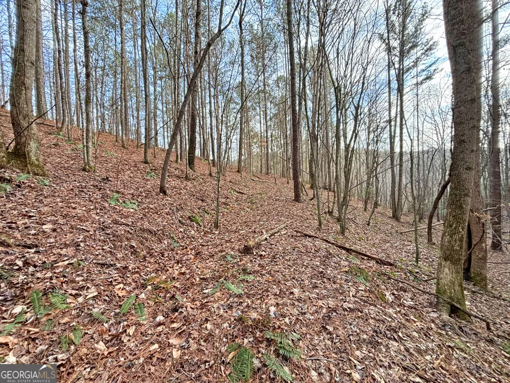 5AC LoveJoy LN Talking Rock, GA 30175
