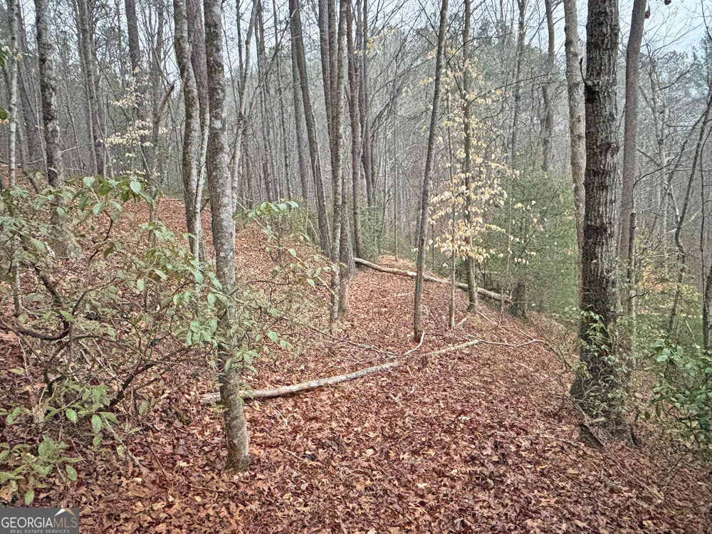 5AC LoveJoy LN Talking Rock, GA 30175
