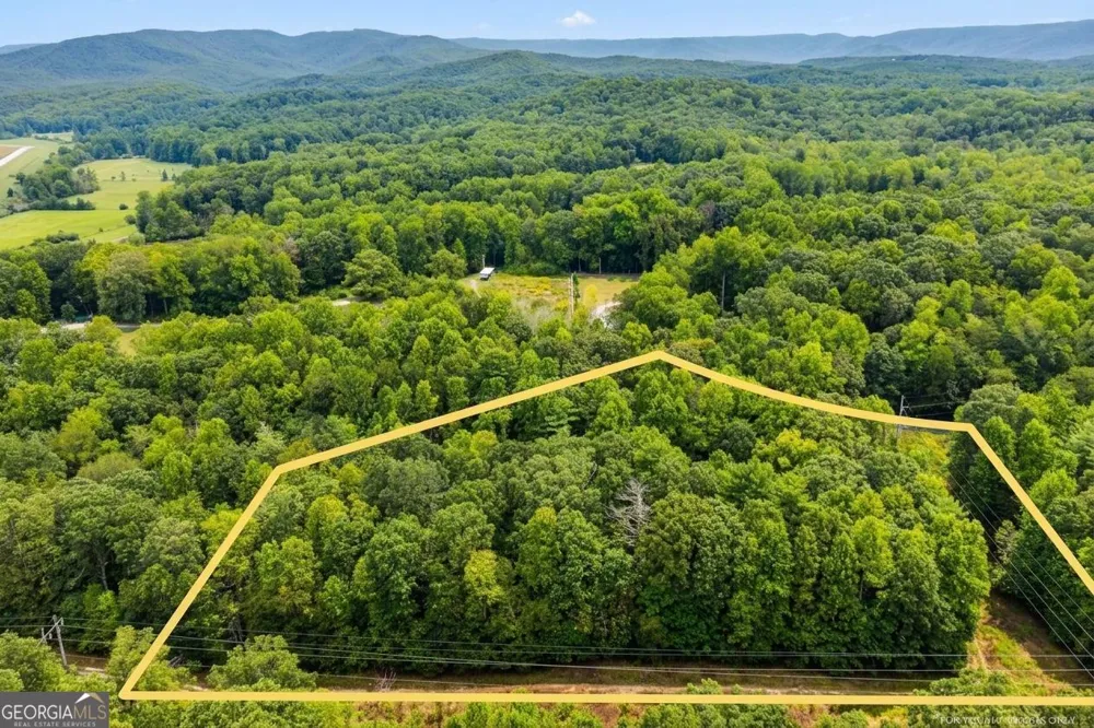 380 Guy Wimpy RD Dahlonega, GA 30533