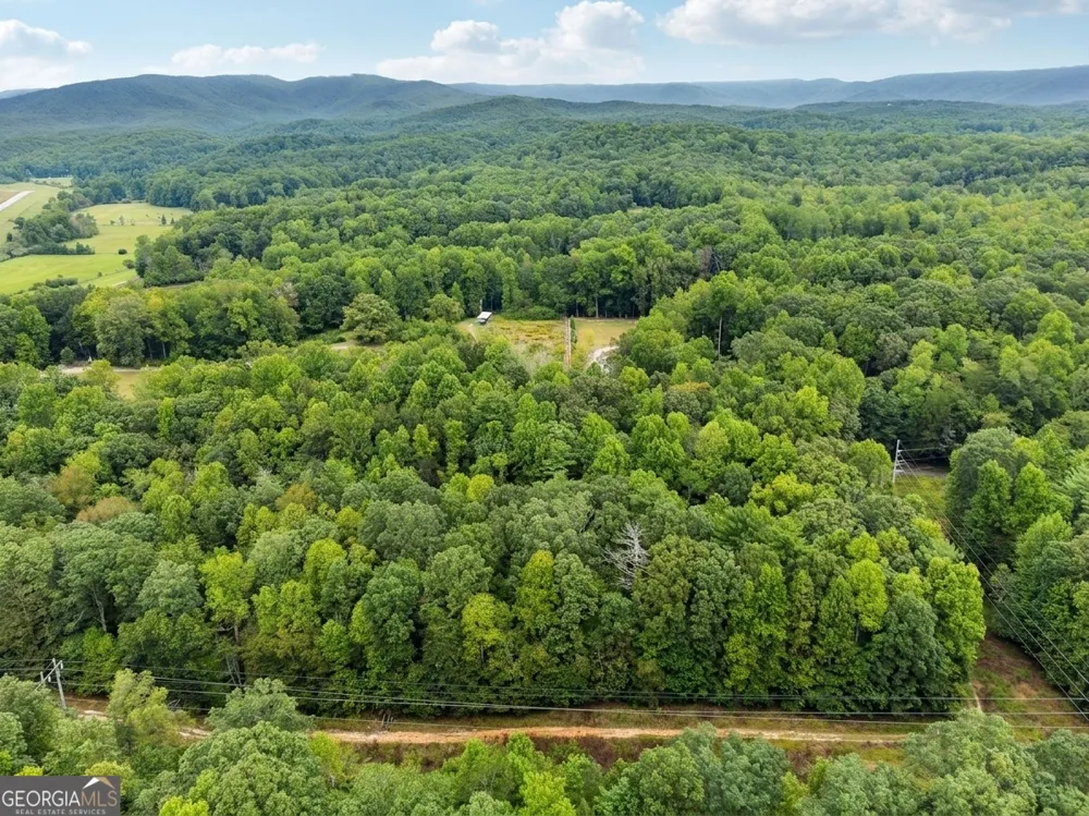 380 Guy Wimpy RD Dahlonega, GA 30533