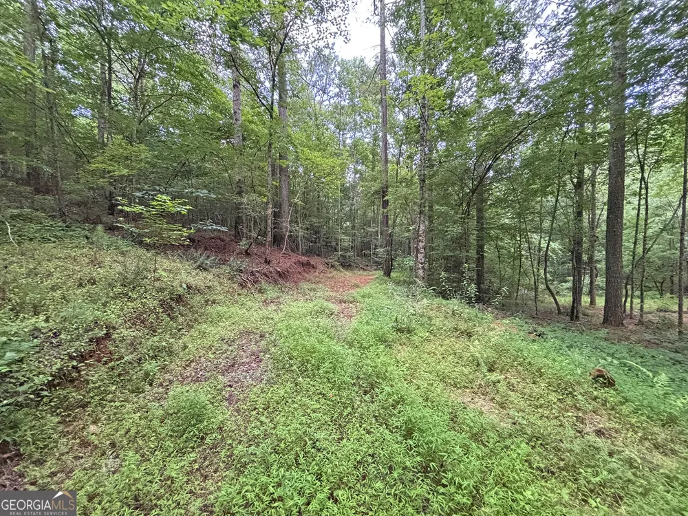 10AC LoveJoy LN Talking Rock, GA 30175