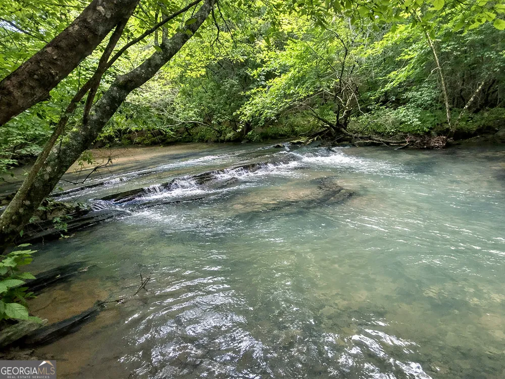 10AC LoveJoy LN Talking Rock, GA 30175