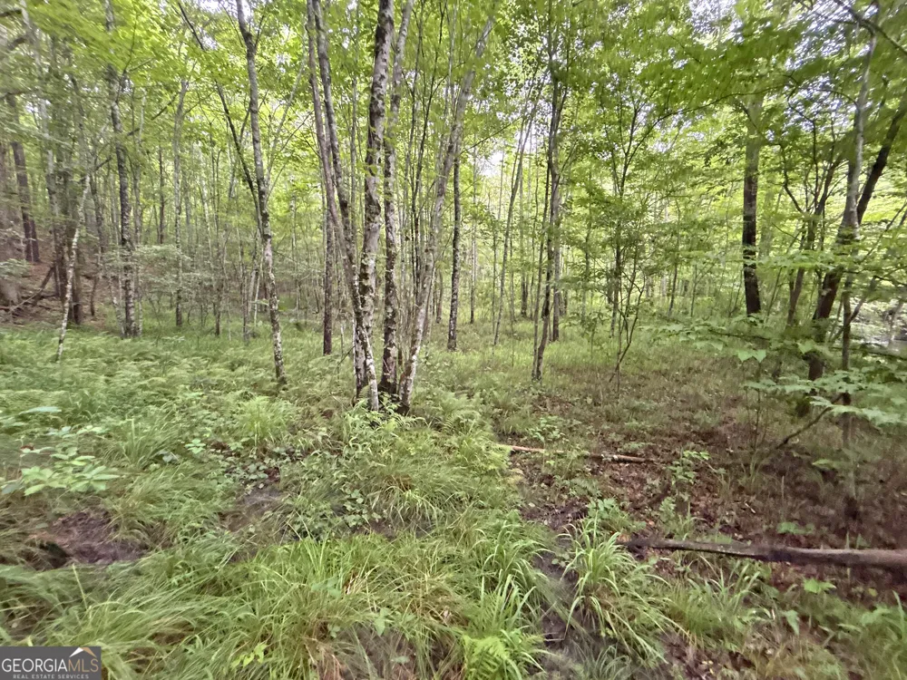 10AC LoveJoy LN Talking Rock, GA 30175