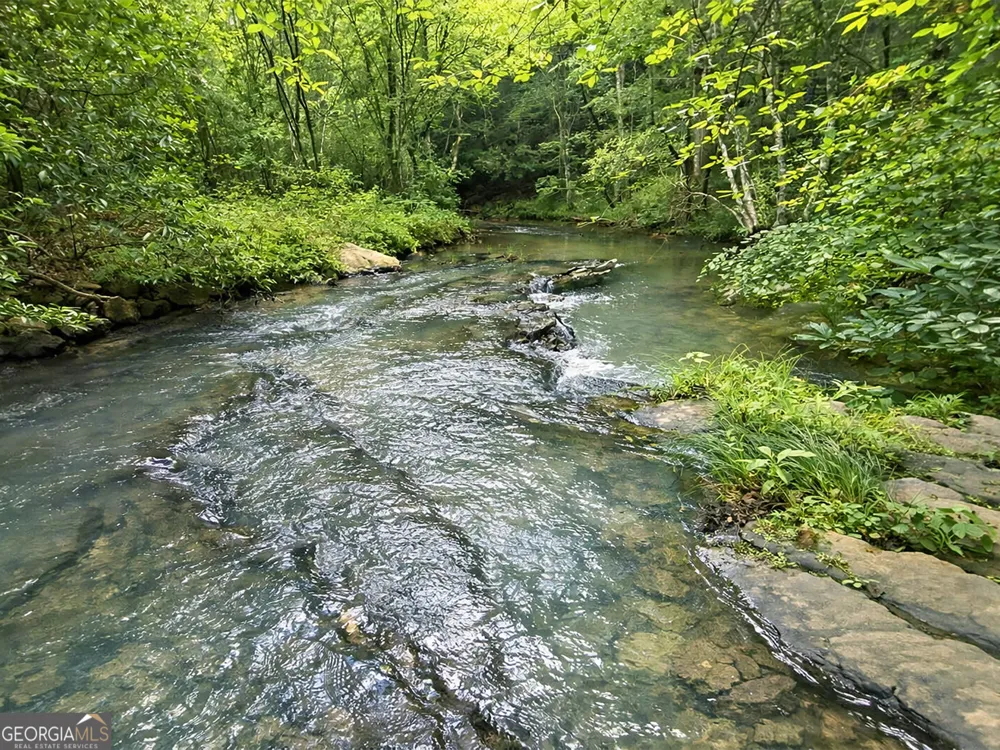 10AC LoveJoy LN Talking Rock, GA 30175