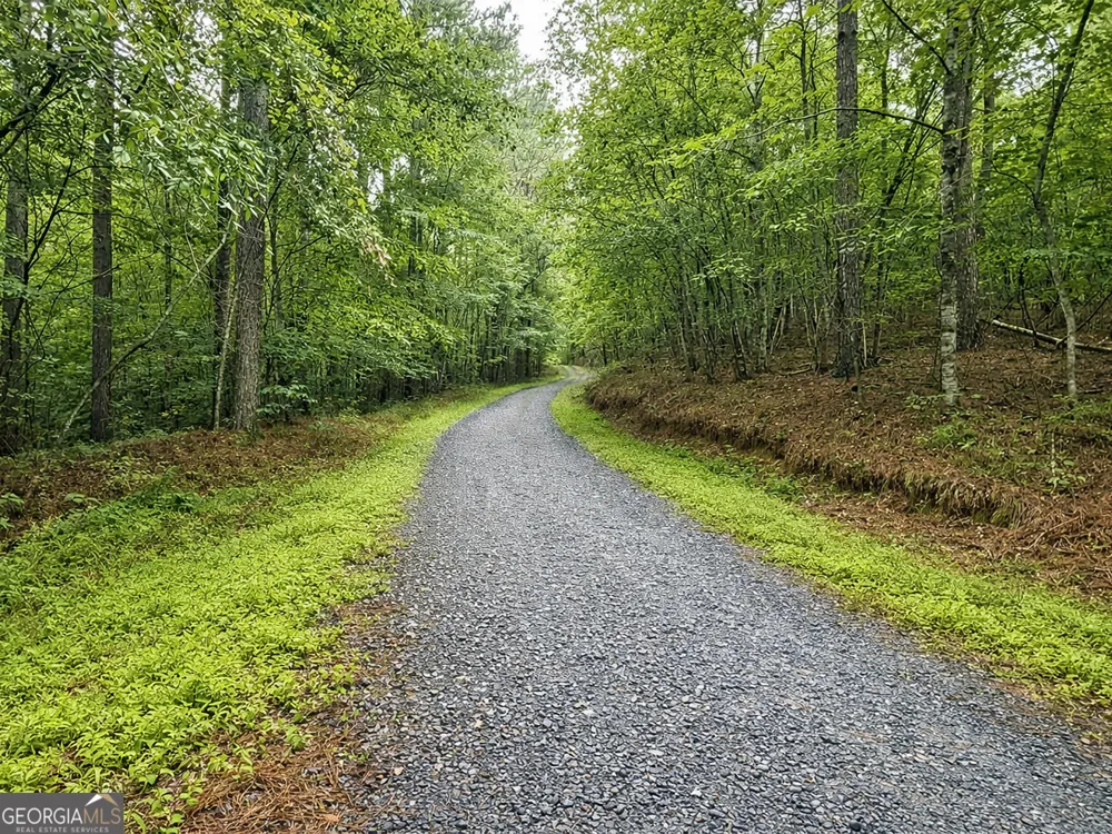 10AC LoveJoy LN Talking Rock, GA 30175
