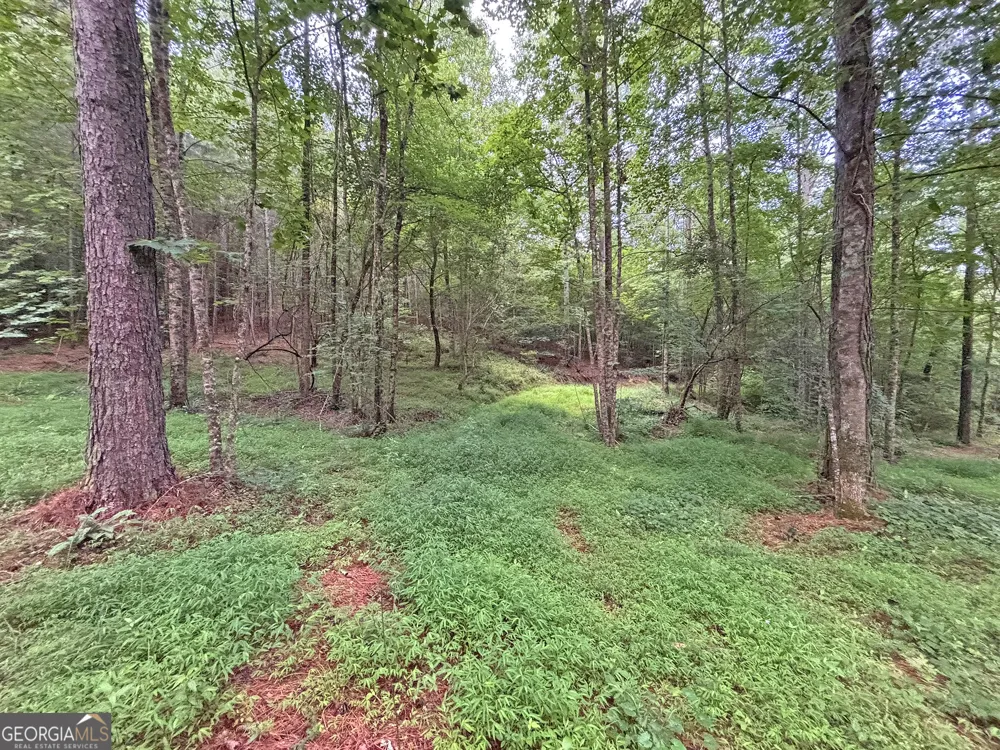 10AC LoveJoy LN Talking Rock, GA 30175