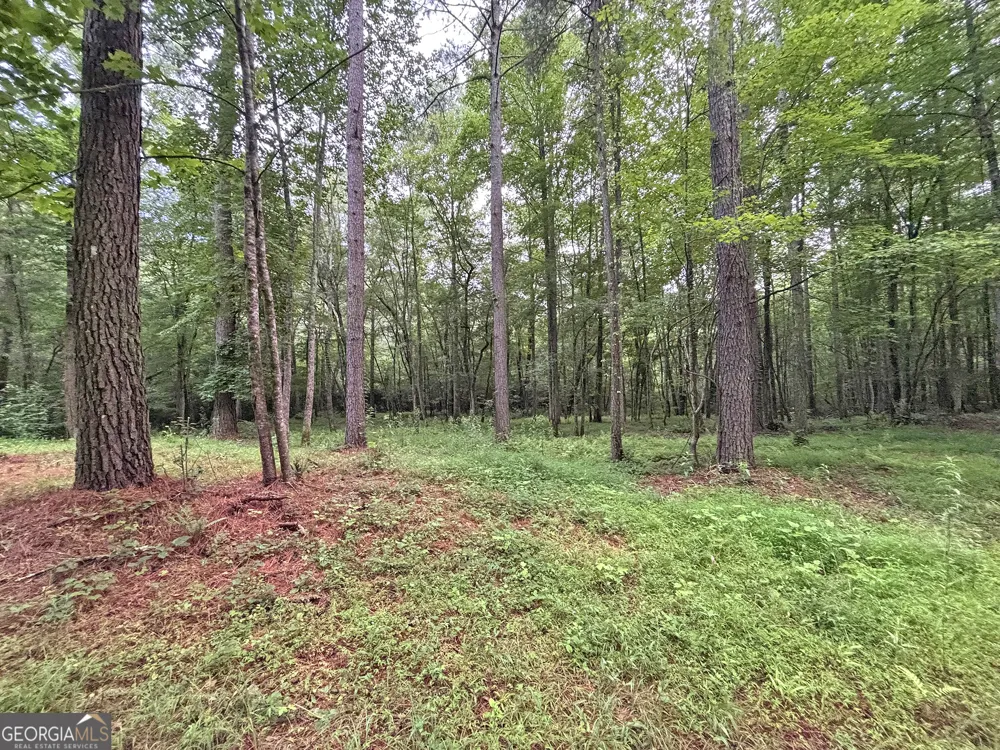 10AC LoveJoy LN Talking Rock, GA 30175