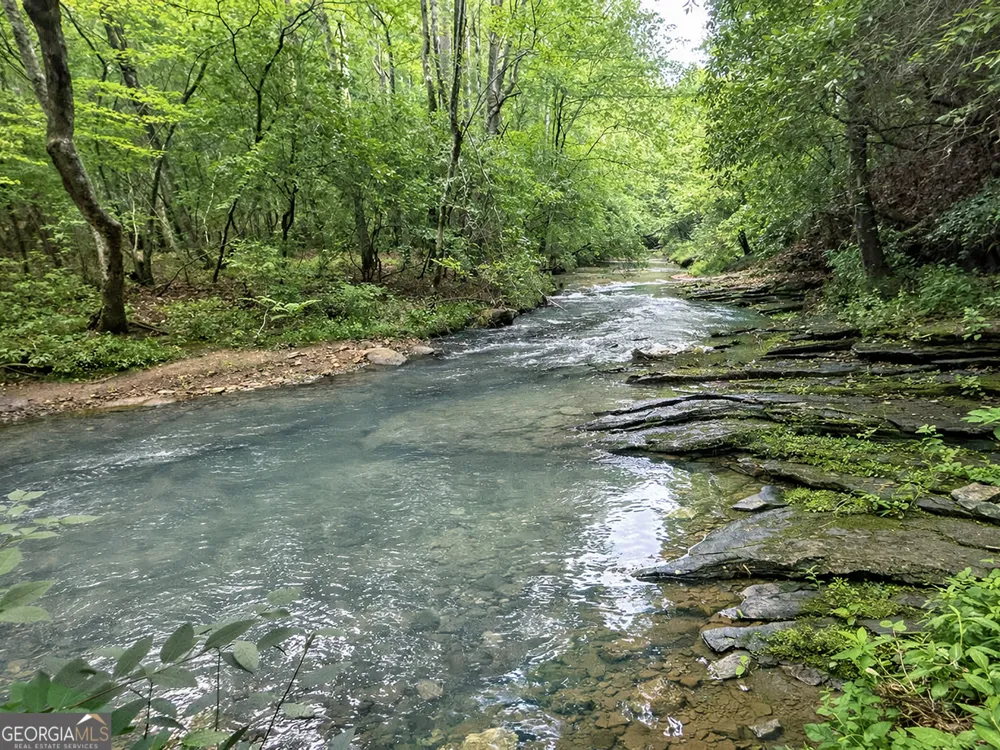 10AC LoveJoy LN Talking Rock, GA 30175