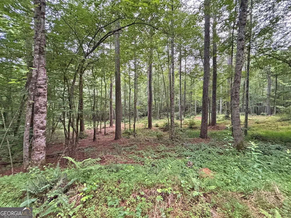 10AC Yonder WAY Talking Rock, GA 30175