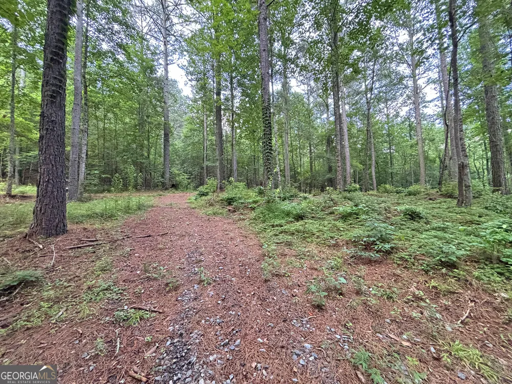 10AC Yonder WAY Talking Rock, GA 30175