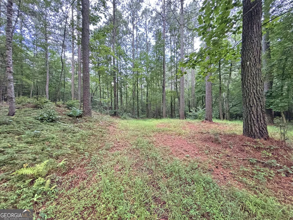 20AC Yonder WAY Talking Rock, GA 30175