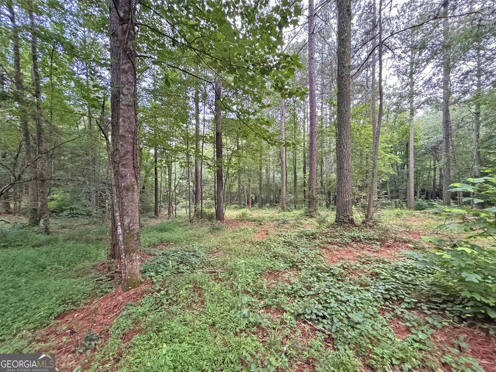 20AC Yonder WAY Talking Rock, GA 30175