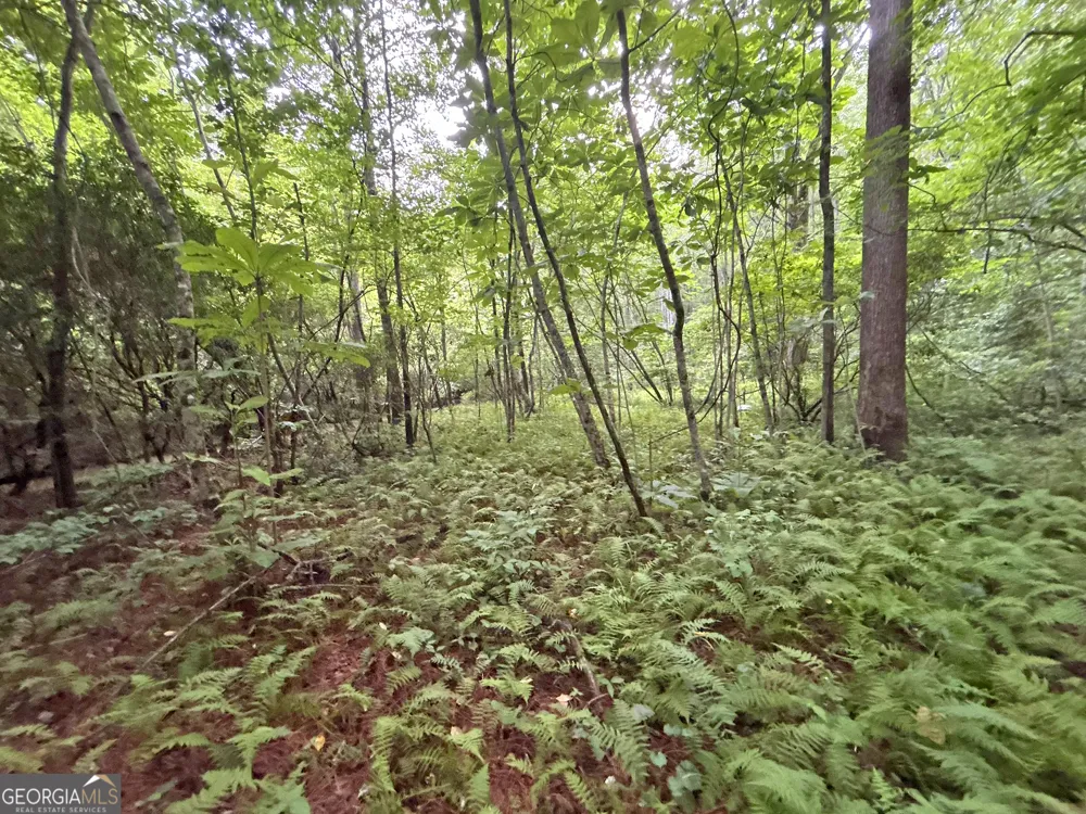 20AC Yonder WAY Talking Rock, GA 30175