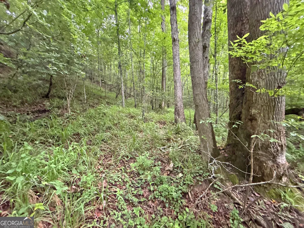 20AC Yonder WAY Talking Rock, GA 30175