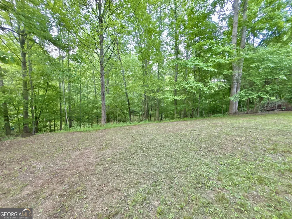 LT 5 Spiva Cove RD Blairsville, GA 30512