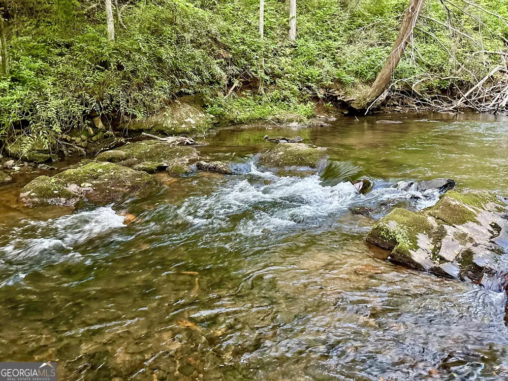 LT 5 Spiva Cove RD Blairsville, GA 30512