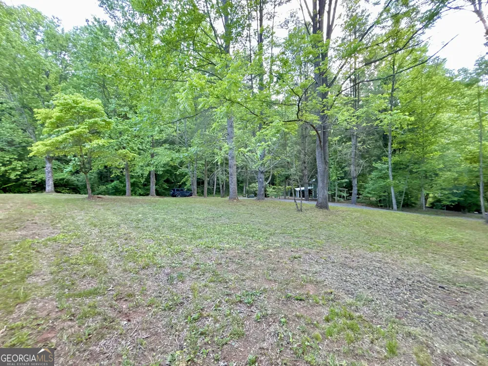 LT 5 Spiva Cove RD Blairsville, GA 30512