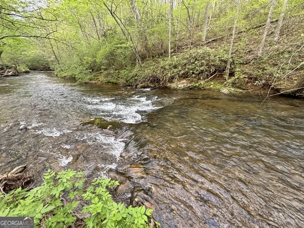 LT 5 Spiva Cove RD Blairsville, GA 30512