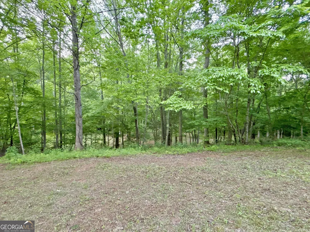 LT 5 Spiva Cove RD Blairsville, GA 30512