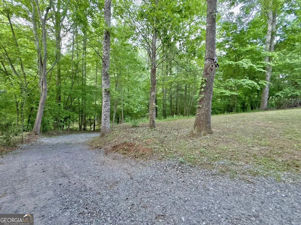 LT 5 Spiva Cove RD Blairsville, GA 30512